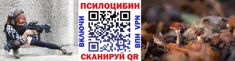 Купить закладки  Улан-Удэ  Псилоцибиновые грибы Cubensis 